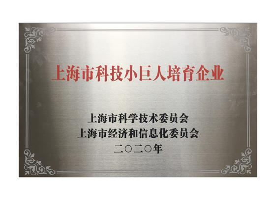 上海繁易荣获双项小巨人荣誉,打造创新型科技企业